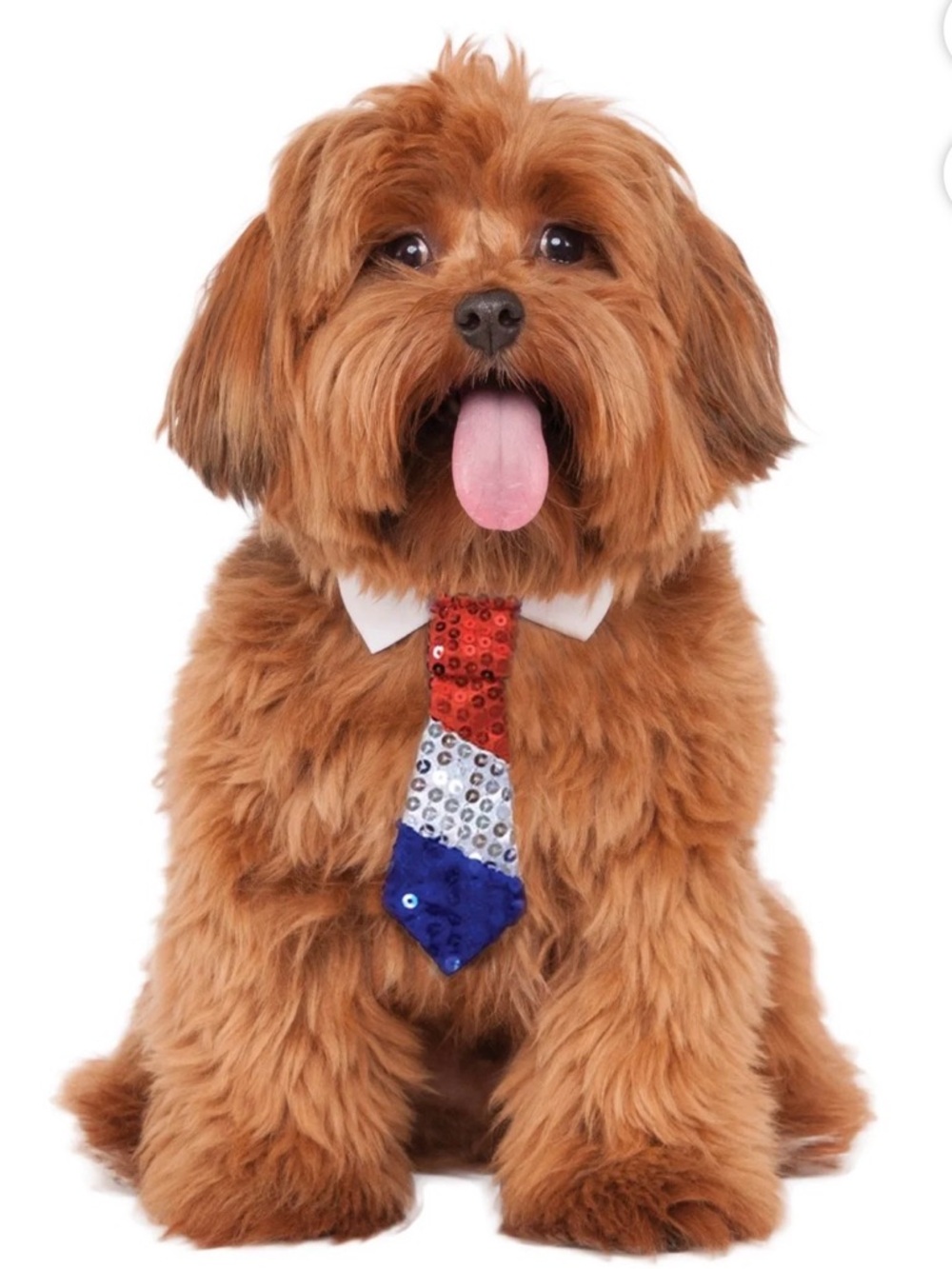 Res, White and Blue Sequin Patriotic Dog Tie Collar